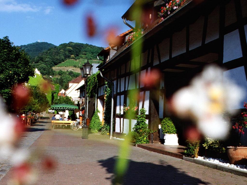 Hotel Garni Zur Bergstrasse Zwingenberg  ภายนอก รูปภาพ